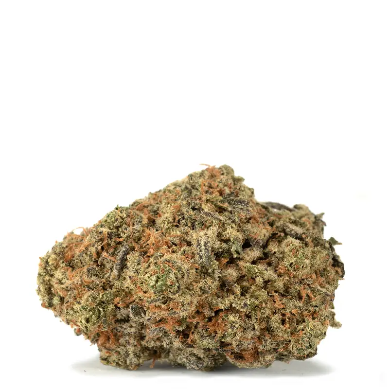 Rainbow-Sherbet Rainbow-Sherbet