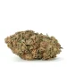 Sunshine Bubble Kush - Image 2