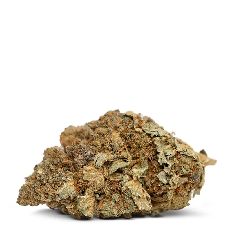 Single Bud of Sour Diesel Strain Single Bud of Sour Diesel Strain
