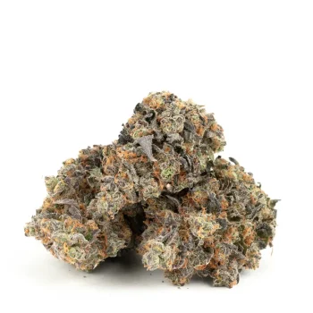 Sour Apple strain close-up-bud-photo