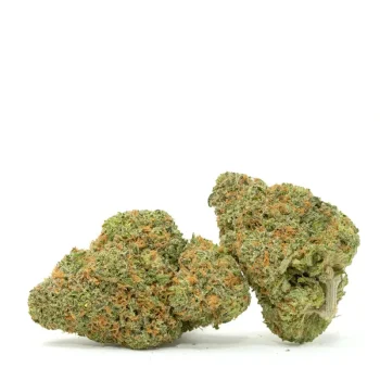 White-Rhino-Strain