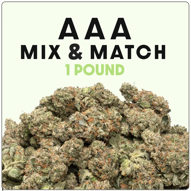 aaa-one-pound-mix-and-match (1) AAA Mix and Match - 1 pound - Image 1