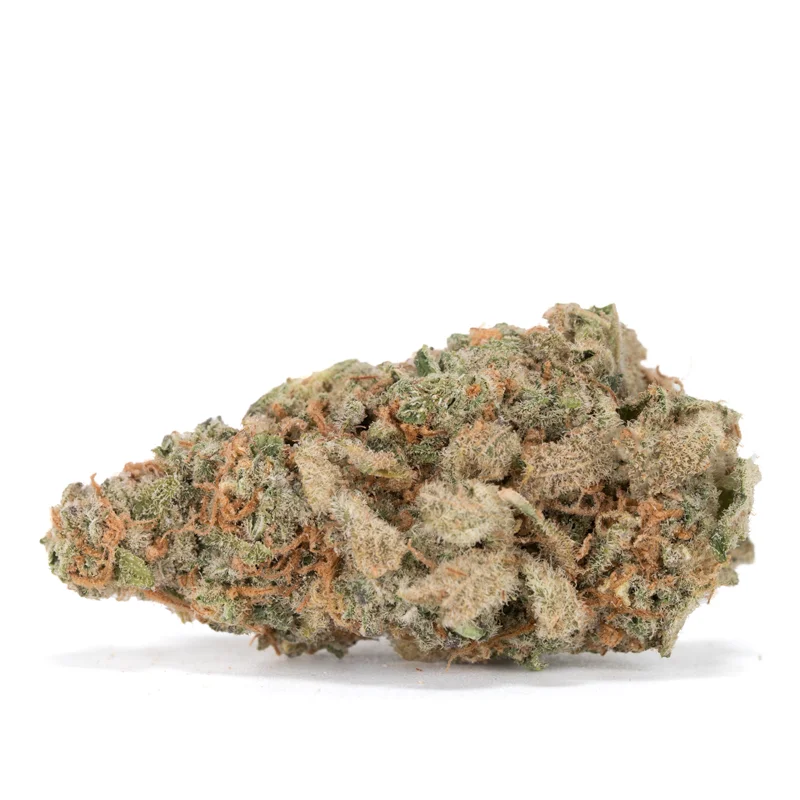 alien-cookies-strain single alien cookies bud