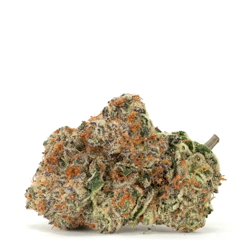 apple-and-bananas-strain apple-and-bananas-strain