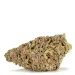apple-fritter-strain