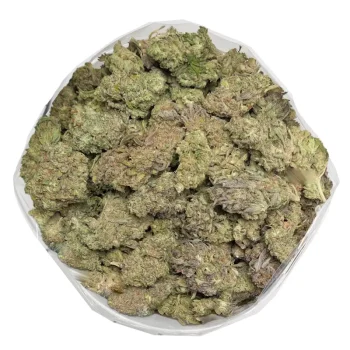apricot-kush-closeup-of-dense-resinous-buds
