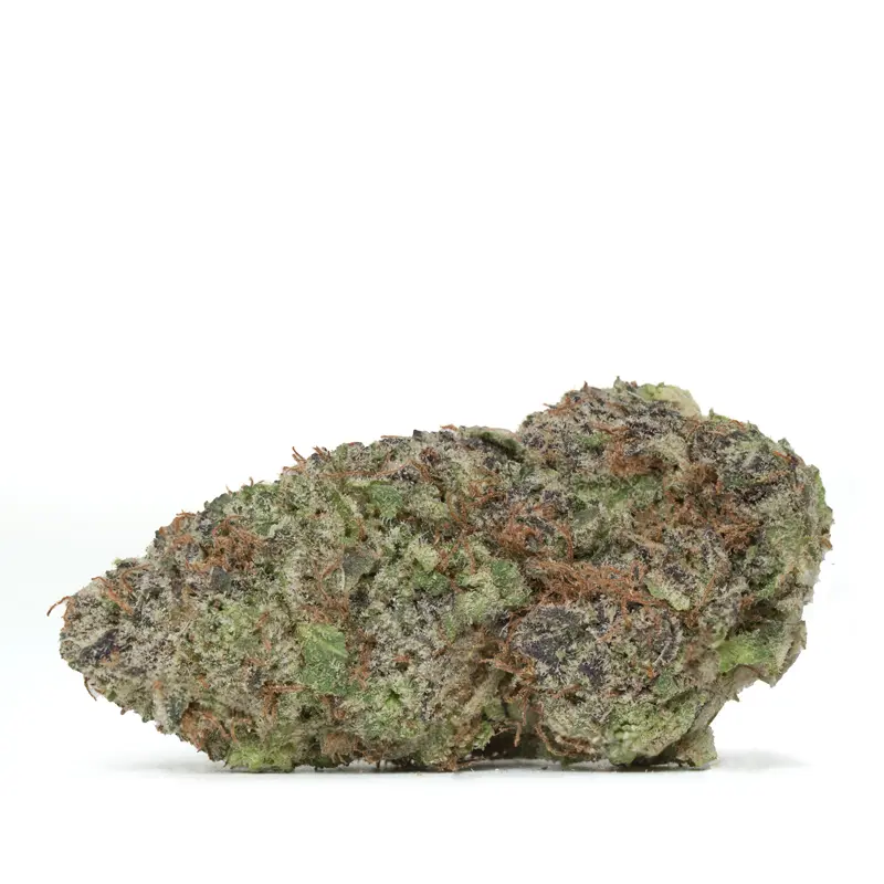 blackberry-strain blackberry-strain