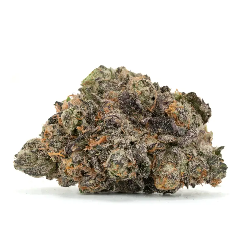 Blue Widow Blue Widow