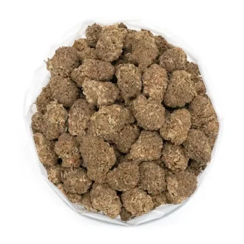 closeup-of-chocolate-kush-dense-sticky-buds