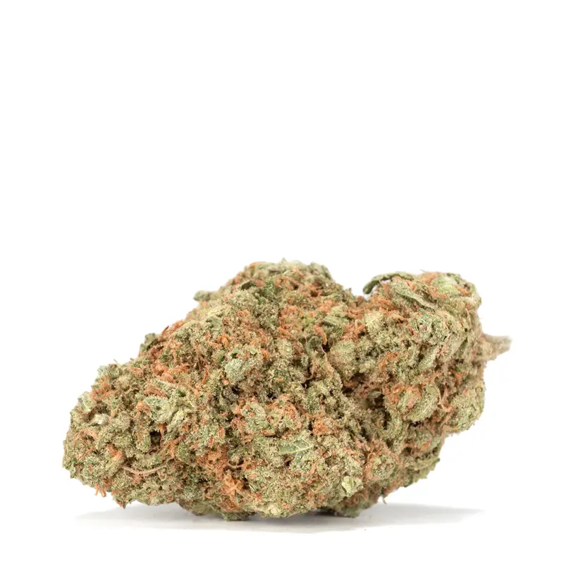 electric-lemon-g electric-lemon-g