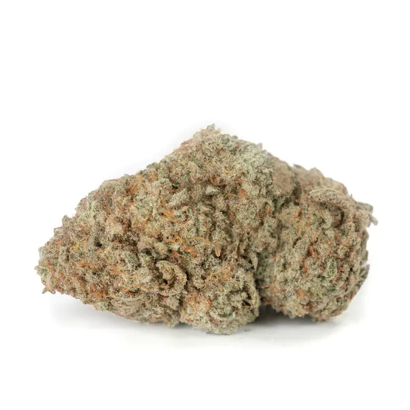 frosted gelato frosted gelato