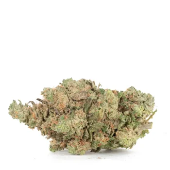 Trichome-rich Gas Face strain buds