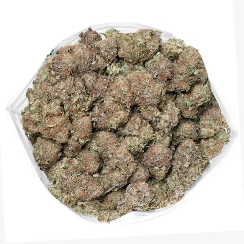 gods-bubba-cannabis-buds-detail gods-bubba-cannabis-buds-detail