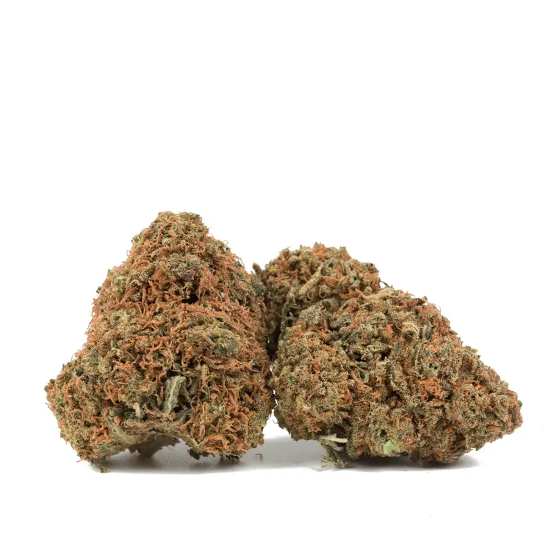 gorilla-berry marijuana buds gorilla-berry marijuana buds