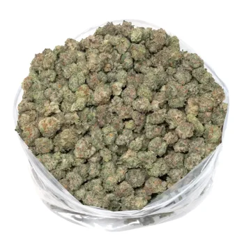 italian-ice-strain-marijuana-buds