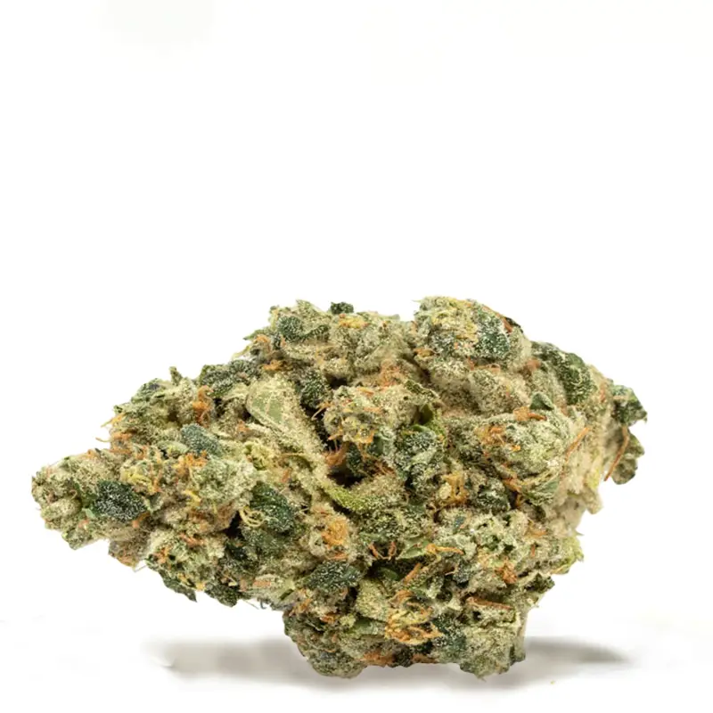 key-lime-pie-strain key-lime-pie-strain