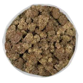 kings kush chunky marijuana buds