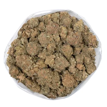 large-bag-of-sunsine-bubble-kush-weed