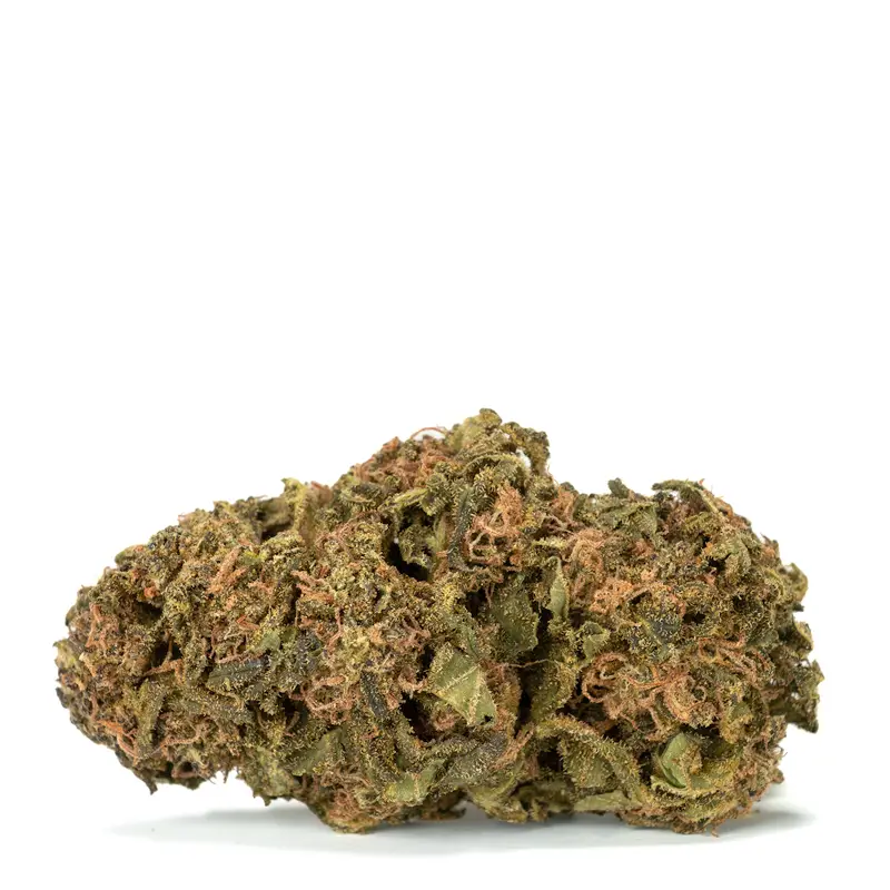 lemon-berry-strain lemon-berry-strain