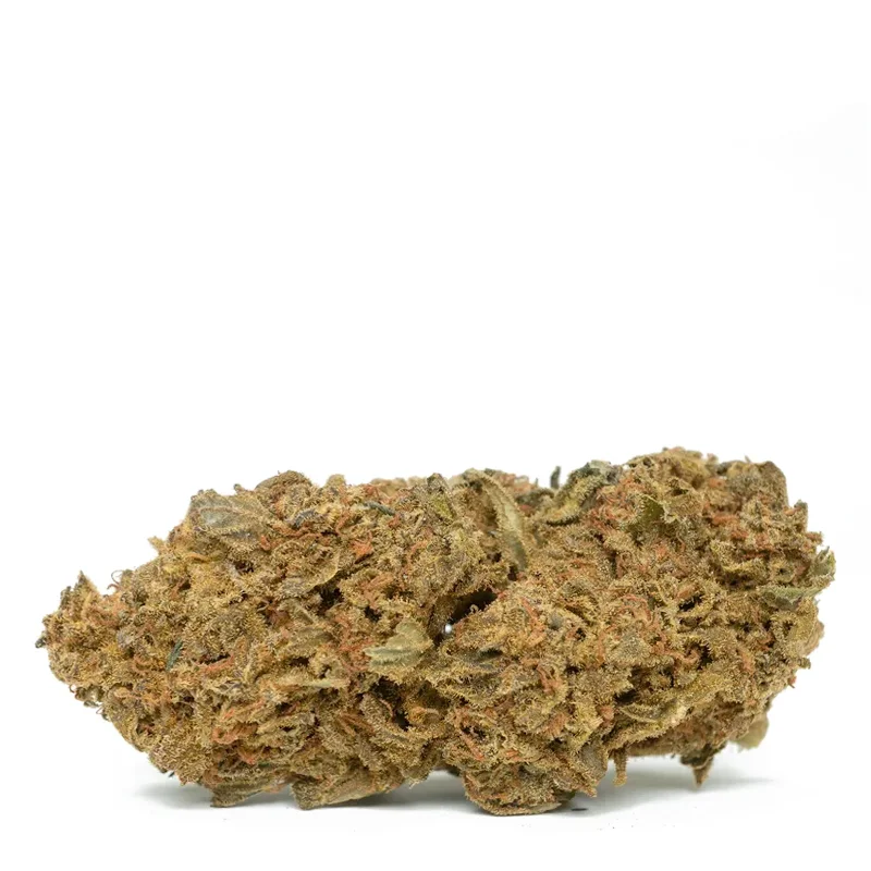 lemon-tree-stran lemon-tree-stran