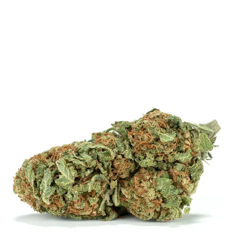 limelight-strain limelight strain