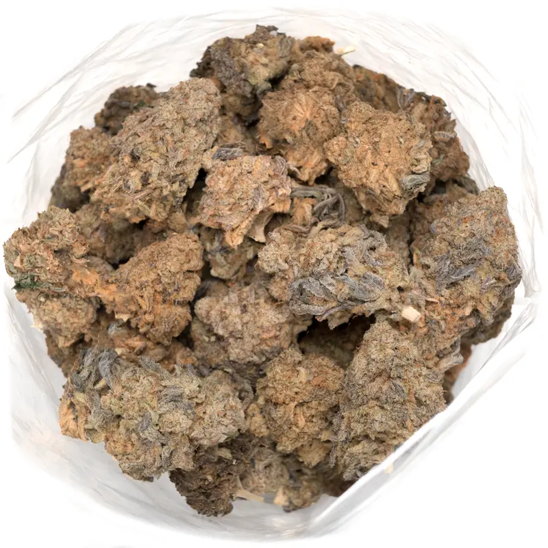mac-and-cheese-strain-bag-of-chunky-marijuana-buds mac-and-cheese-strain-bag-of-chunky-marijuana-buds