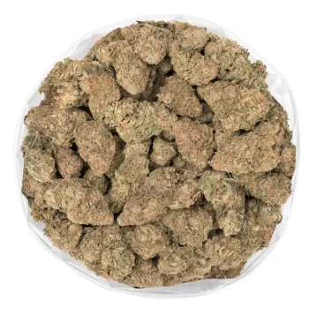 money-maker-strain-marijuana-buds-bulk