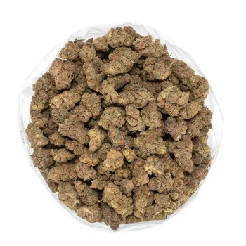 monster-cookies-strain-trichome-covered-marijuana-buds