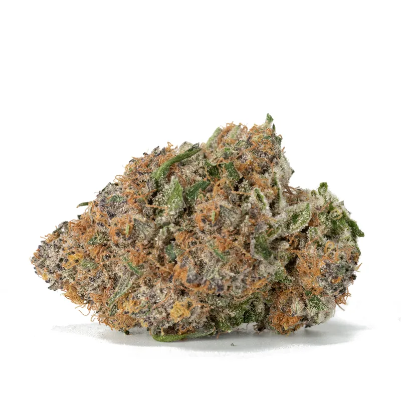 moon-berry-cannabis-bud Close-up of frosty Moonberry cannabis bud with purple hues