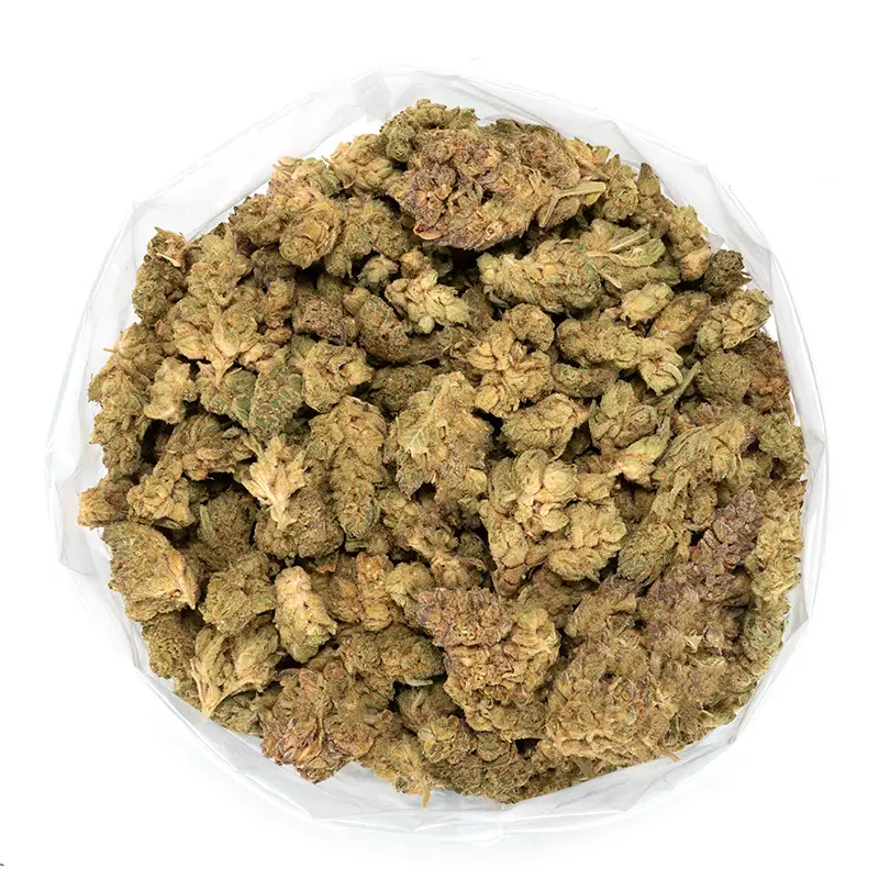 orange-diesel-trichome-covered-cannabis-buds orange-diesel-trichome-covered-cannabis-buds