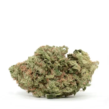 orange-push-pop-strain-single-bud