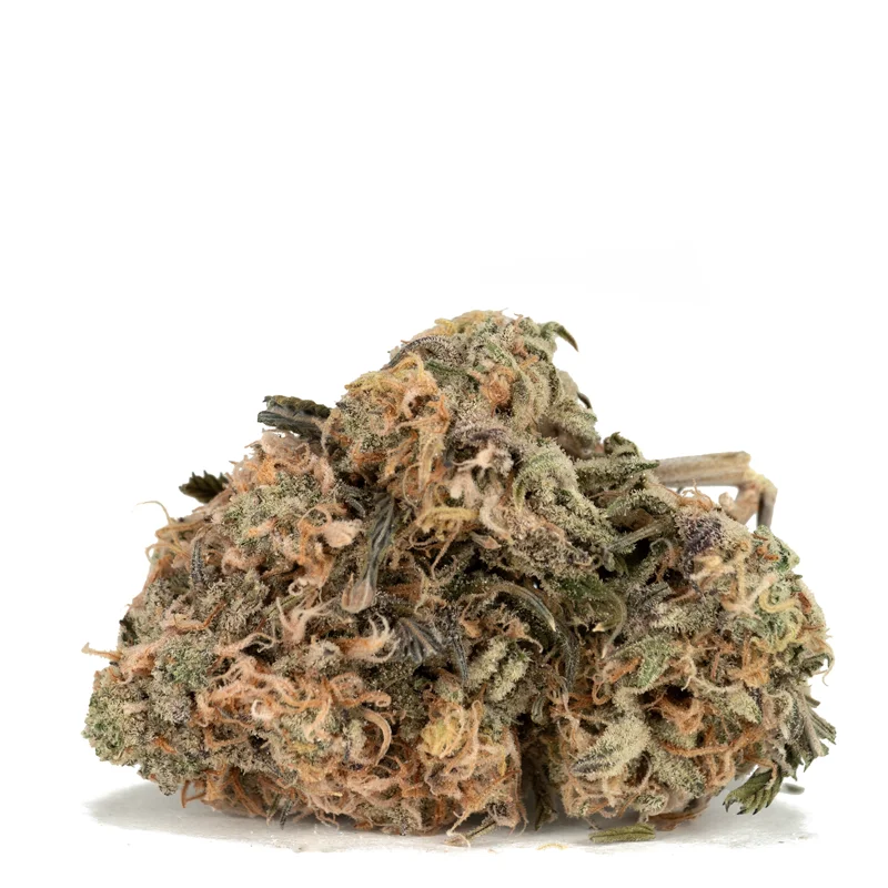 oreoz-strain oreoz-strain