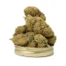 pineapple-express-cannabis-buds-on-jar-lid