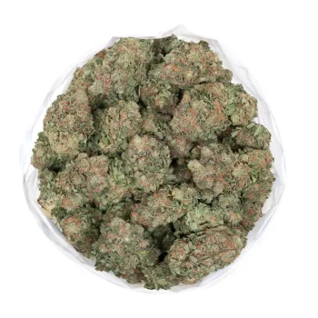 pink-grapefruit strain marijuana buds view from top