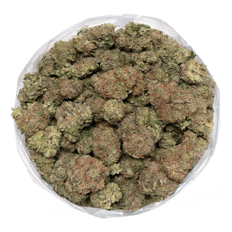 pink kush detailed marijuana buds in bag Pink Kush
