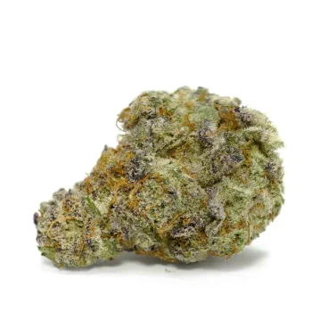 pink-lemonade-weed-strain