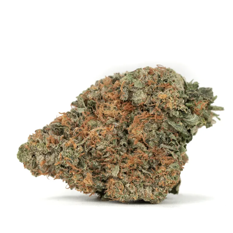 platinum kush strain platinum kush strain