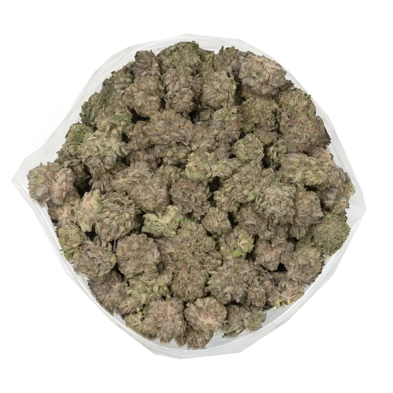 purple-kush close photo showcasing purple kush buds displaying purple hues and purple leaves with thick layers if trichomes