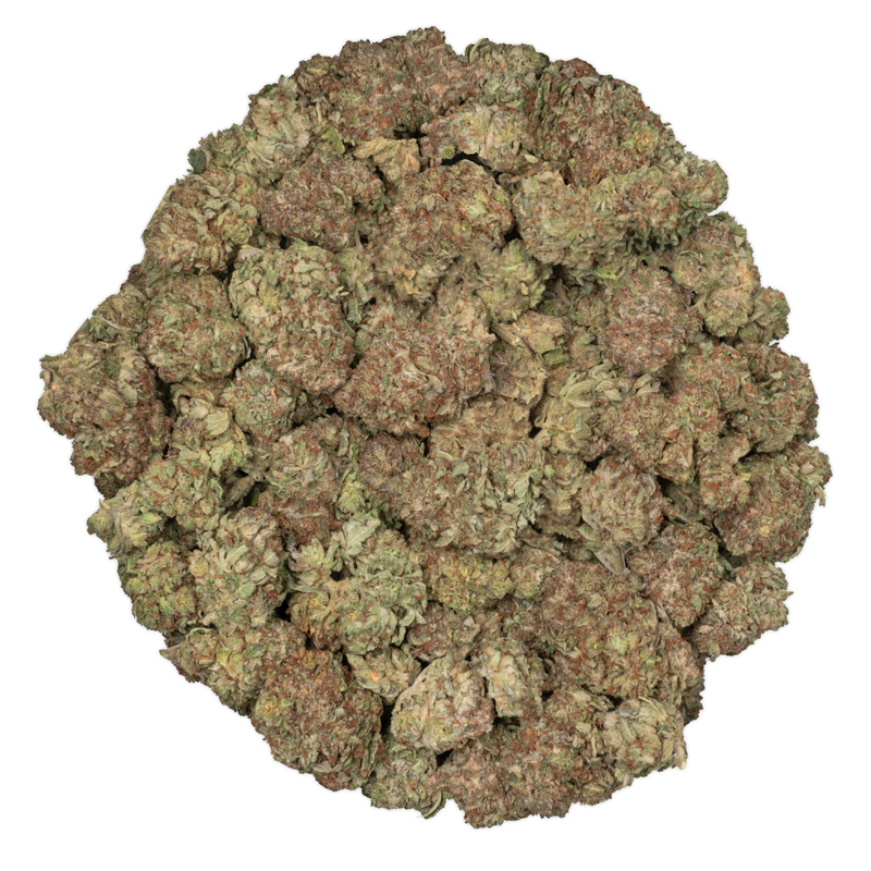 Rock Tuna strain round chunky rock tuna buds