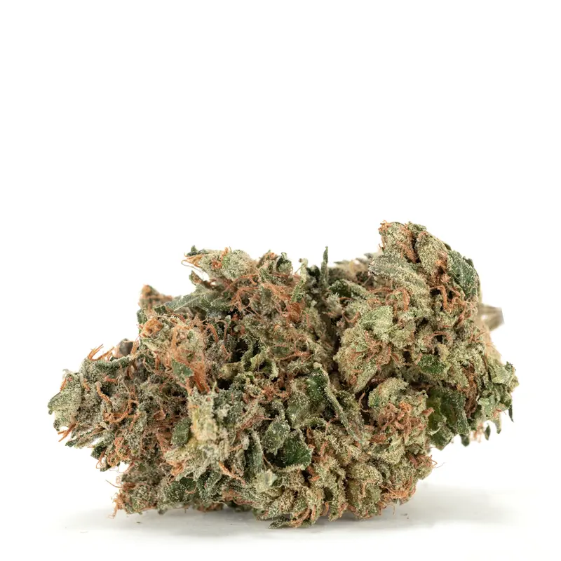 sfv-og-kush sfv-og-kush