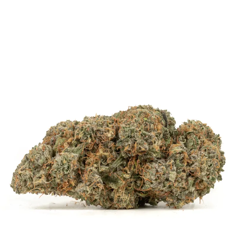 sherb cream pie strain sherb cream pie strain