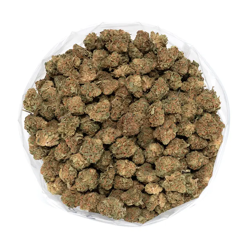 skunk-dawg-marijuana-buds skunk-dawg-marijuana-buds