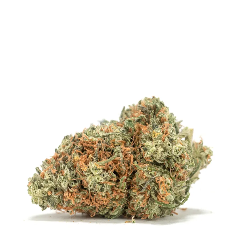 snow-white-strain snow-white-strain