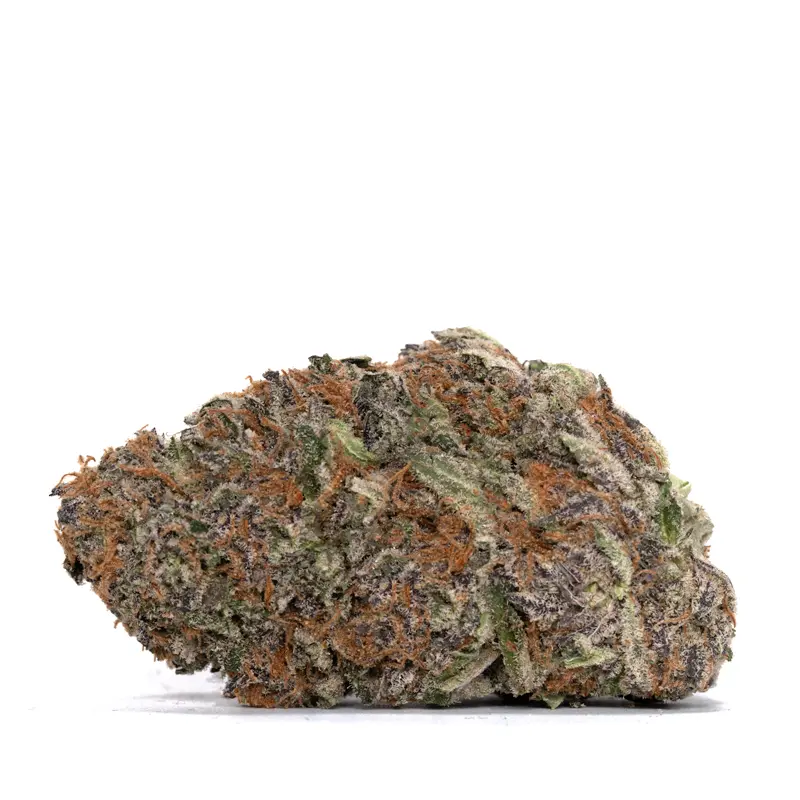 space-cake-strain space-cake-strain