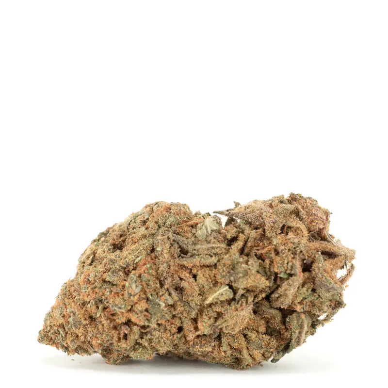 twisted-citrus twisted-citrus