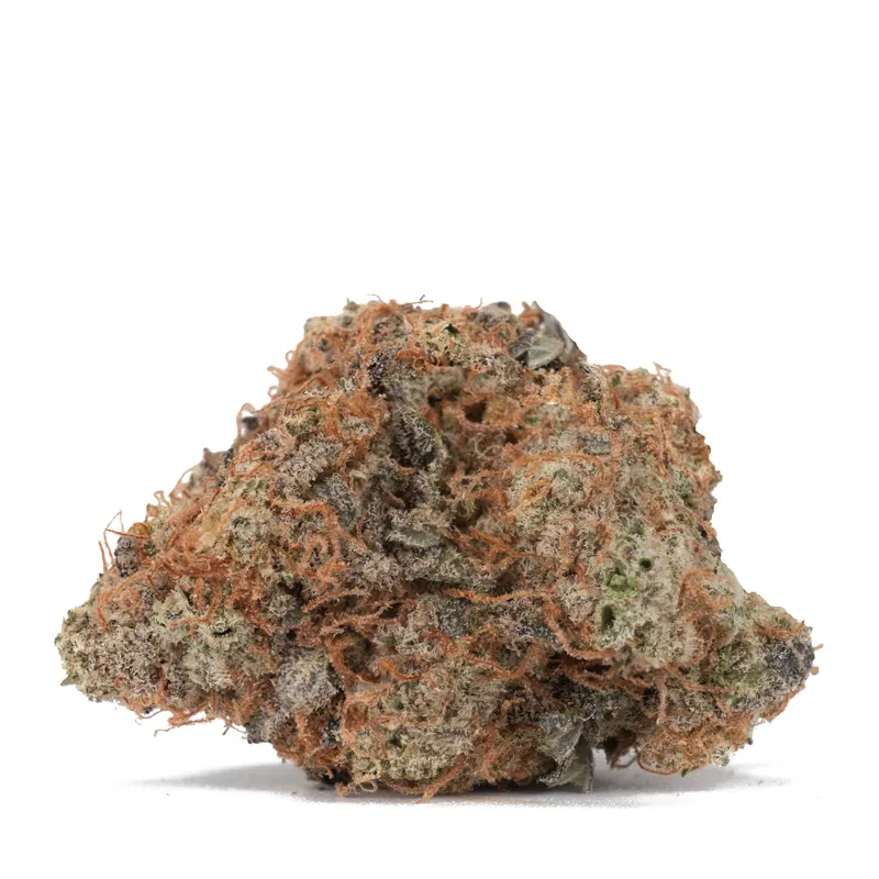 white-strawberry-single-bud-macro-shot white-strawberry-single-bud-macro-shot