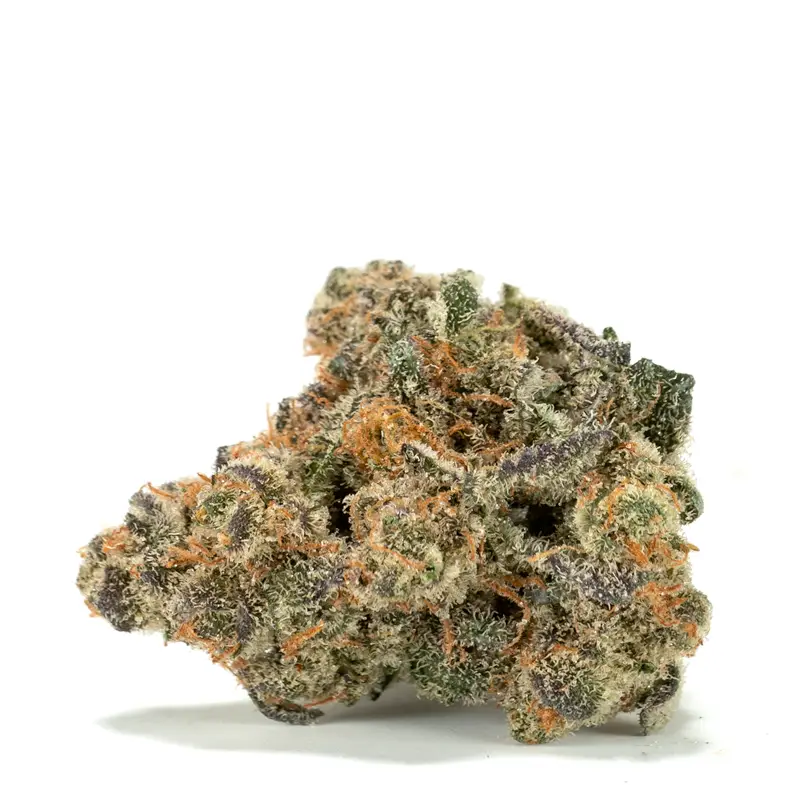 white-truffle-strain white-truffle-strain