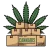 cannabis-boxes